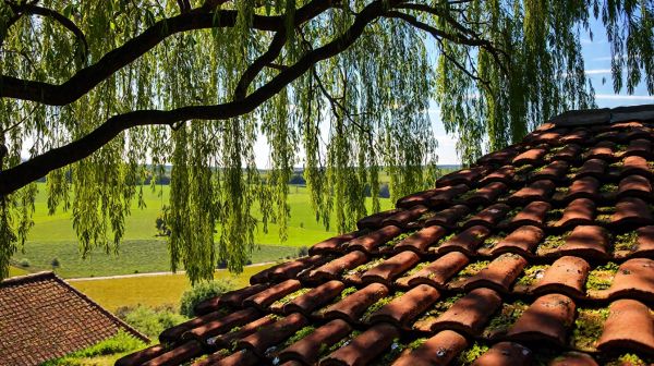 Les avantages de faire appel à un expert toiture à Origny-le-Sec